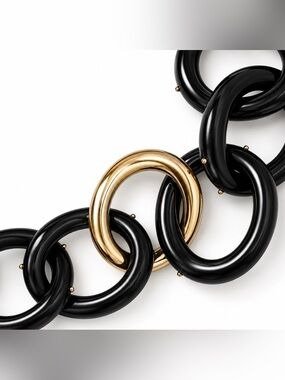 Kara by Kara Ross vintage lucite black and one gold link necklace w/ studs.